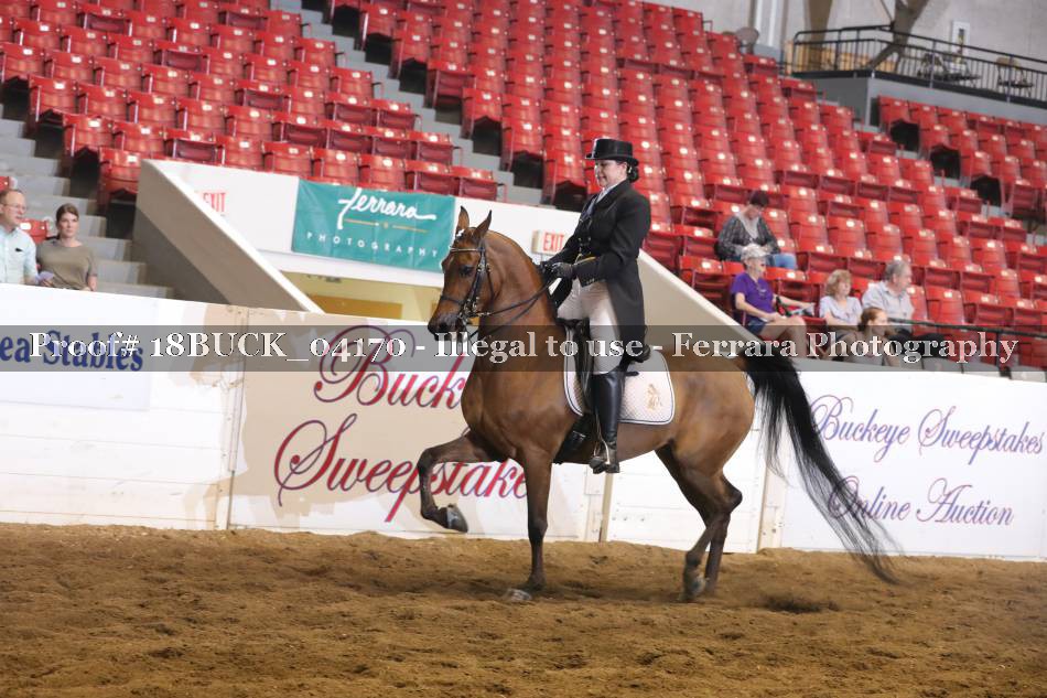 Proof 18BUCK_04170