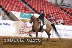 18BUCK_04170 proof