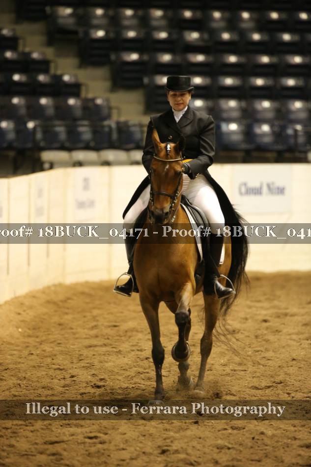 Proof 18BUCK_04171