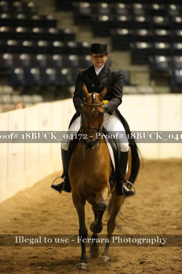 Proof 18BUCK_04172