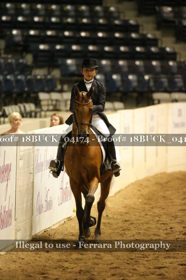 Proof 18BUCK_04174