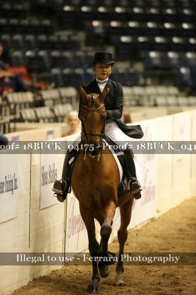 Proof 18BUCK_04175