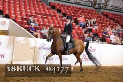 18BUCK_04177 proof