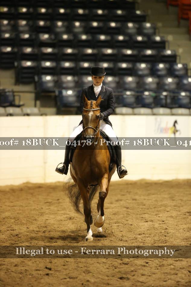 Proof 18BUCK_04178