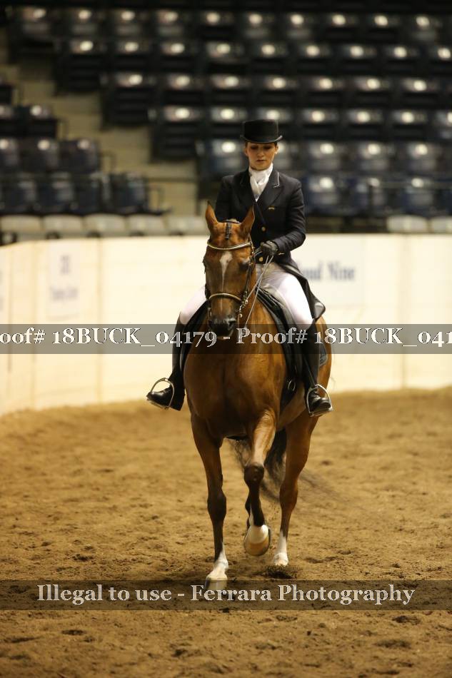 Proof 18BUCK_04179