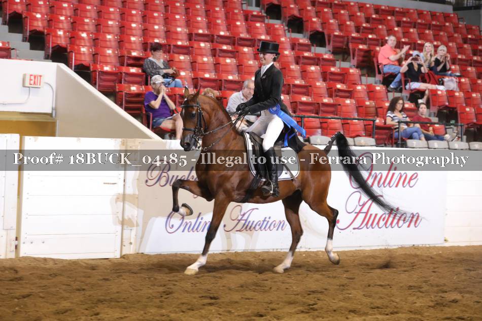 Proof 18BUCK_04185