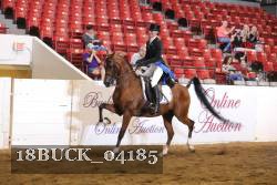 18BUCK_04185 proof