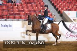 18BUCK_04186 proof