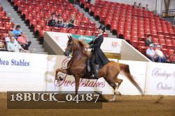 18BUCK_04187 proof