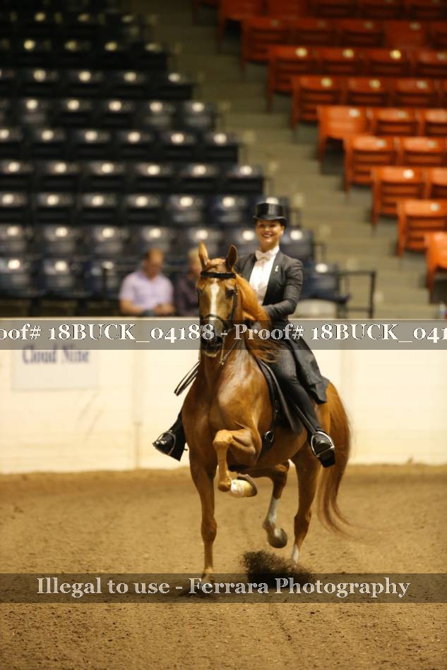 Proof 18BUCK_04188
