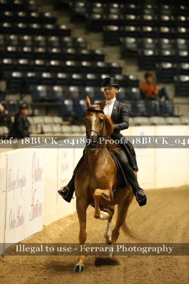 Proof 18BUCK_04189