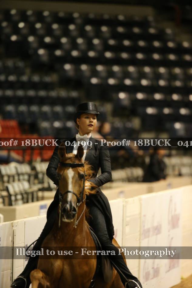 Proof 18BUCK_04190