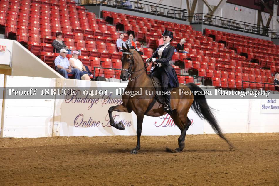 Proof 18BUCK_04191