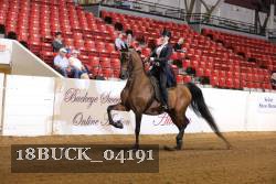 18BUCK_04191 proof