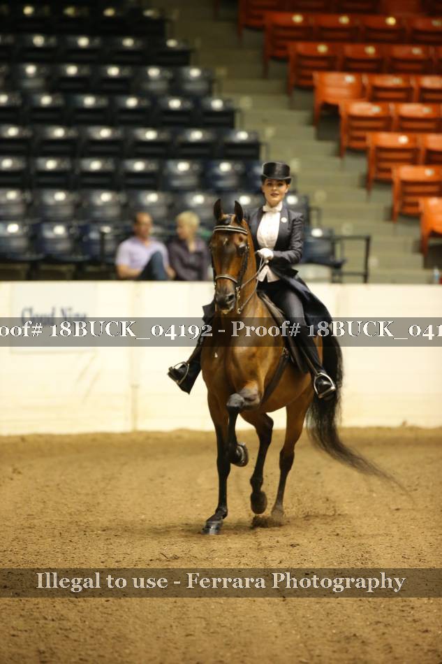 Proof 18BUCK_04192