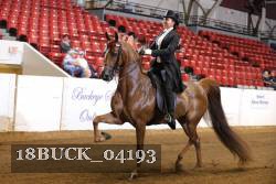 18BUCK_04193 proof