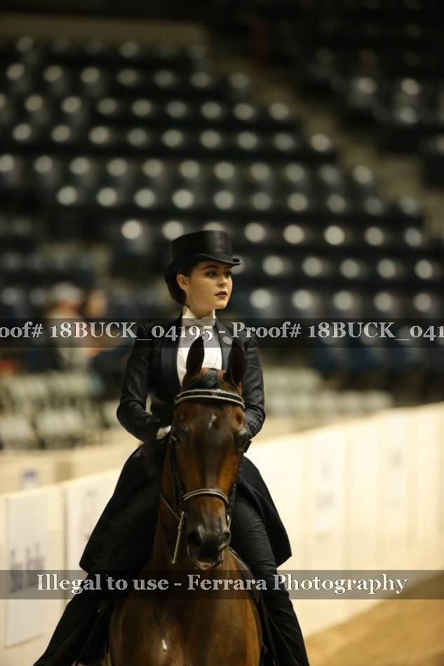 Proof 18BUCK_04195