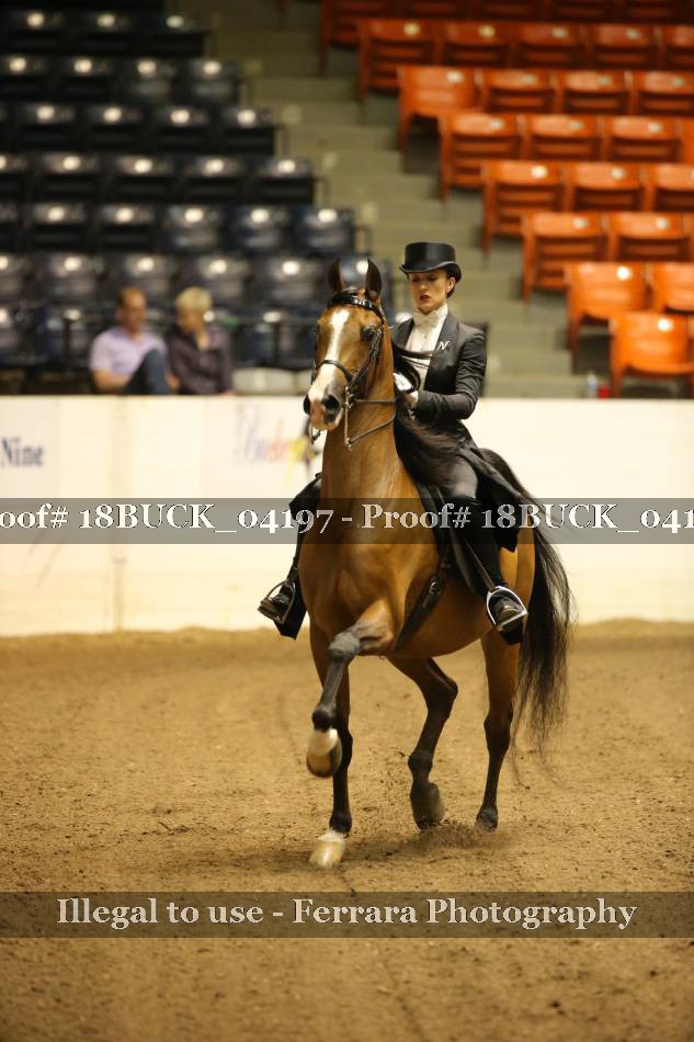 Proof 18BUCK_04197