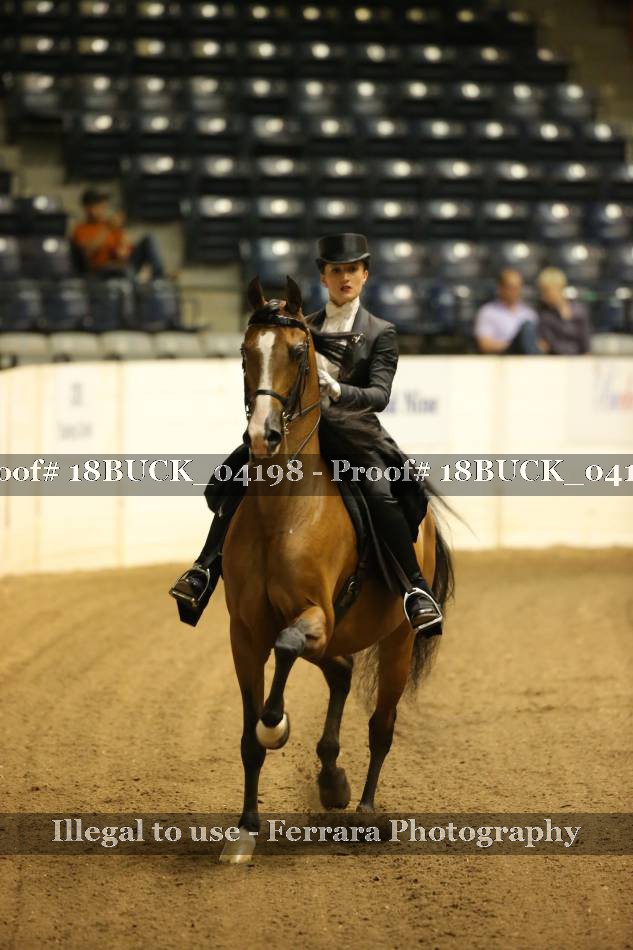 Proof 18BUCK_04198