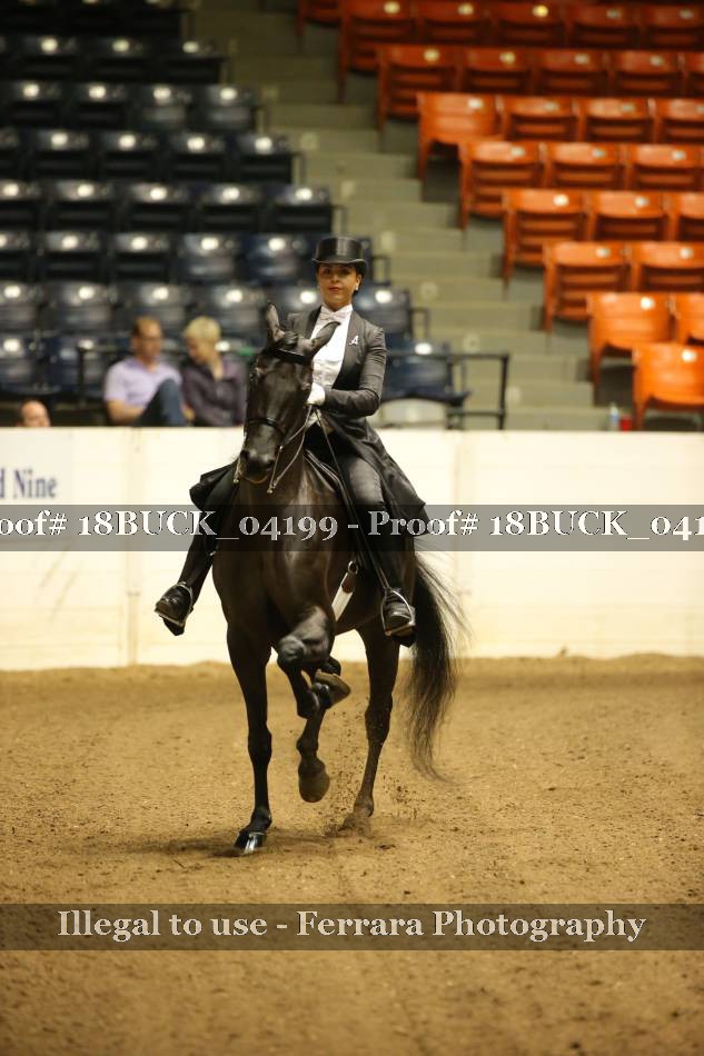 Proof 18BUCK_04199