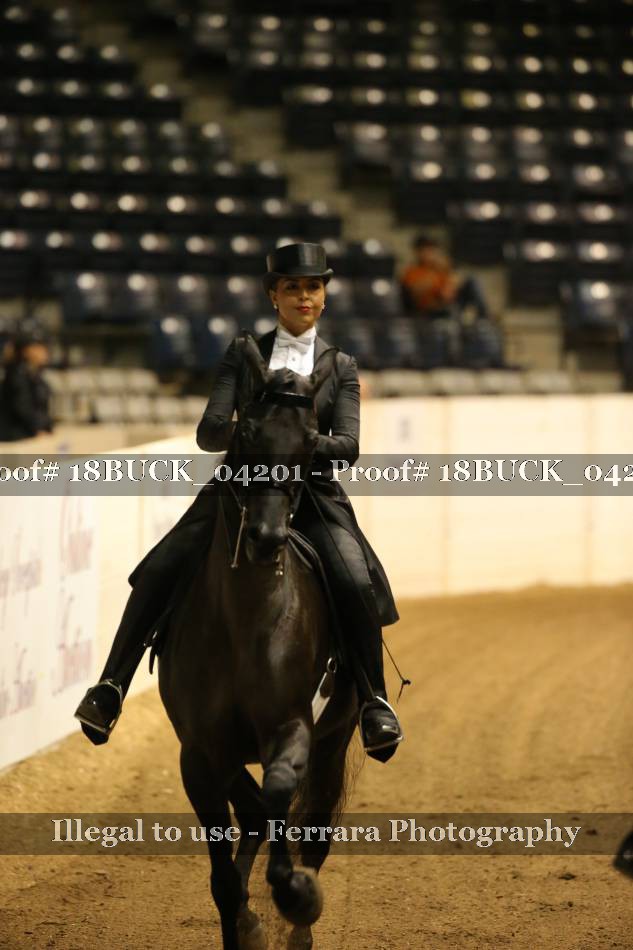 Proof 18BUCK_04201