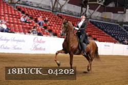 18BUCK_04202 proof