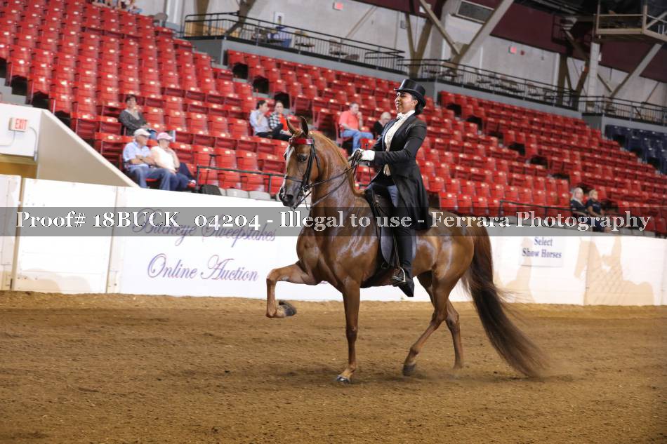 Proof 18BUCK_04204