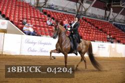 18BUCK_04204 proof