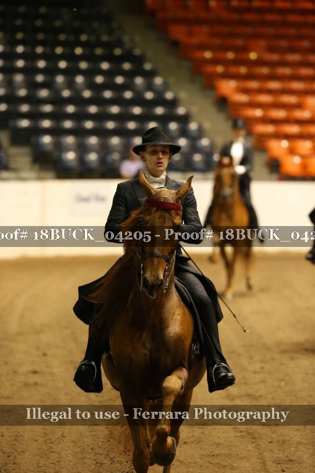 Proof 18BUCK_04205
