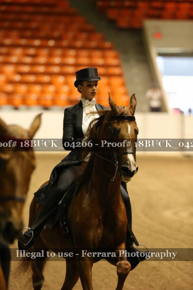Proof 18BUCK_04206