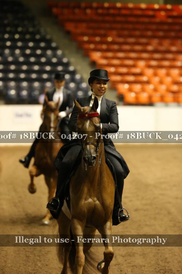 Proof 18BUCK_04207