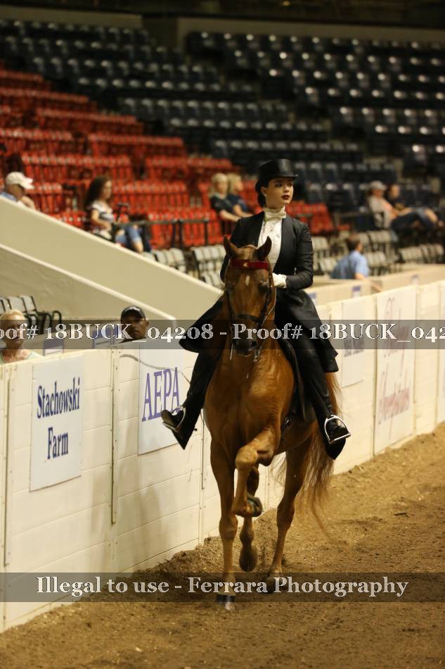 Proof 18BUCK_04208