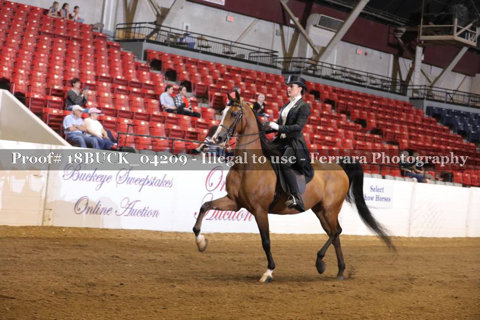 Proof 18BUCK_04209