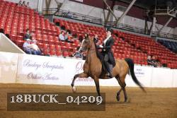 18BUCK_04209 proof