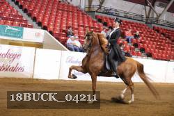 18BUCK_04211 proof