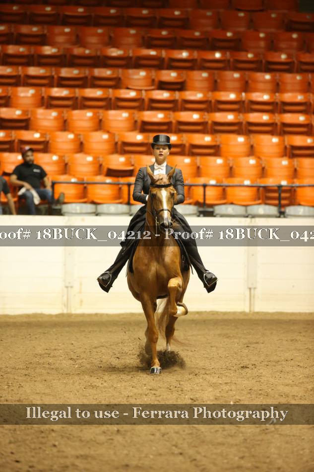 Proof 18BUCK_04212
