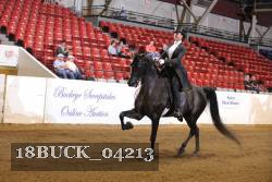 18BUCK_04213 proof
