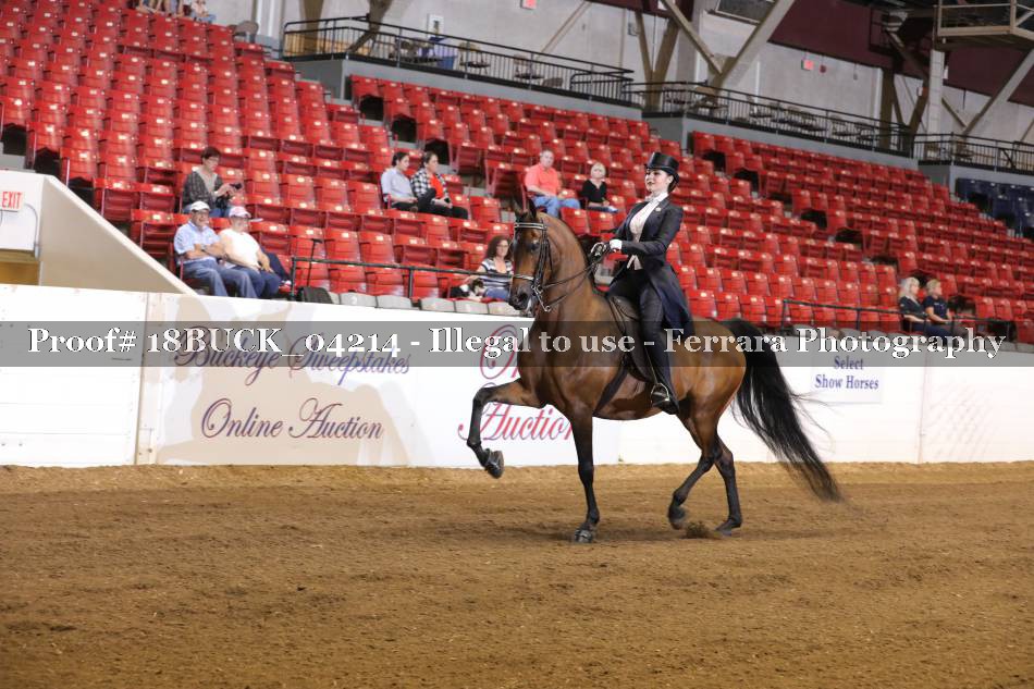 Proof 18BUCK_04214
