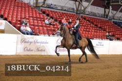 18BUCK_04214 proof