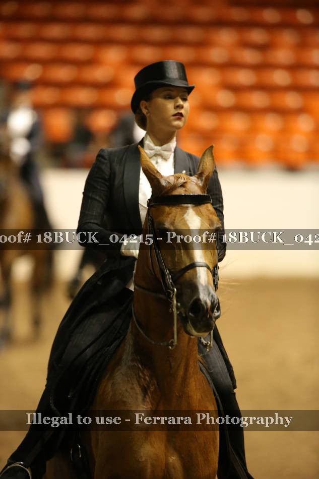 Proof 18BUCK_04215