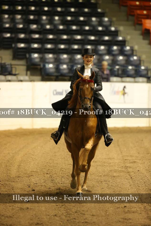 Proof 18BUCK_04219