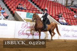 18BUCK_04220 proof