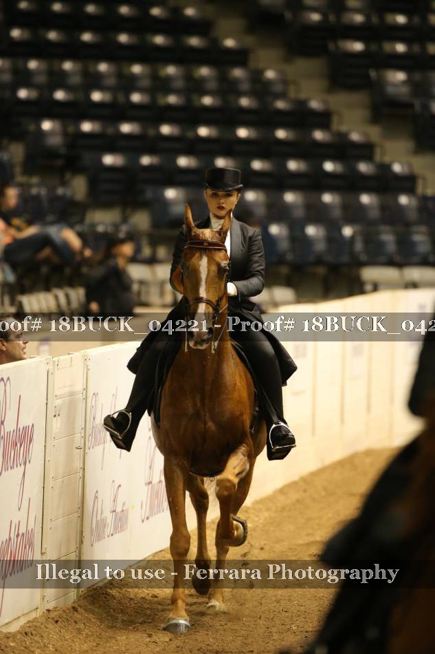 Proof 18BUCK_04221