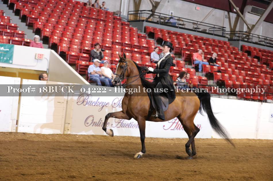 Proof 18BUCK_04222