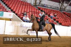18BUCK_04222 proof