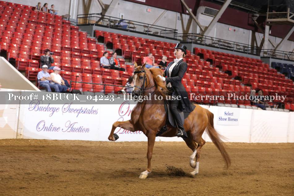 Proof 18BUCK_04223