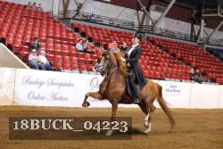 18BUCK_04223 proof