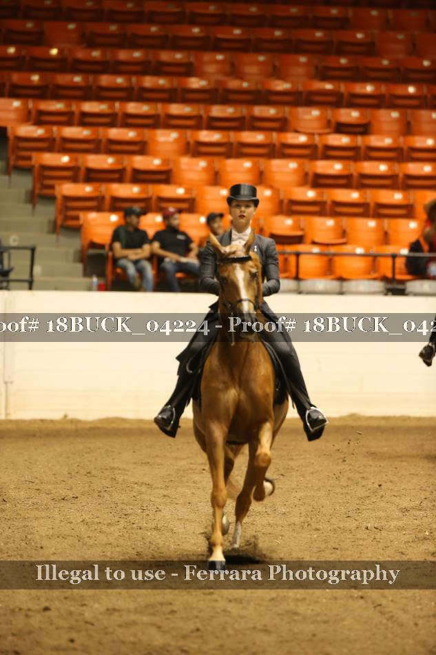 Proof 18BUCK_04224