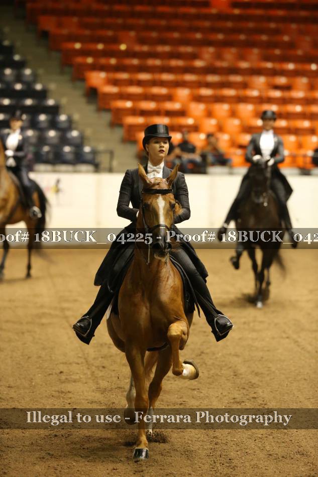 Proof 18BUCK_04225