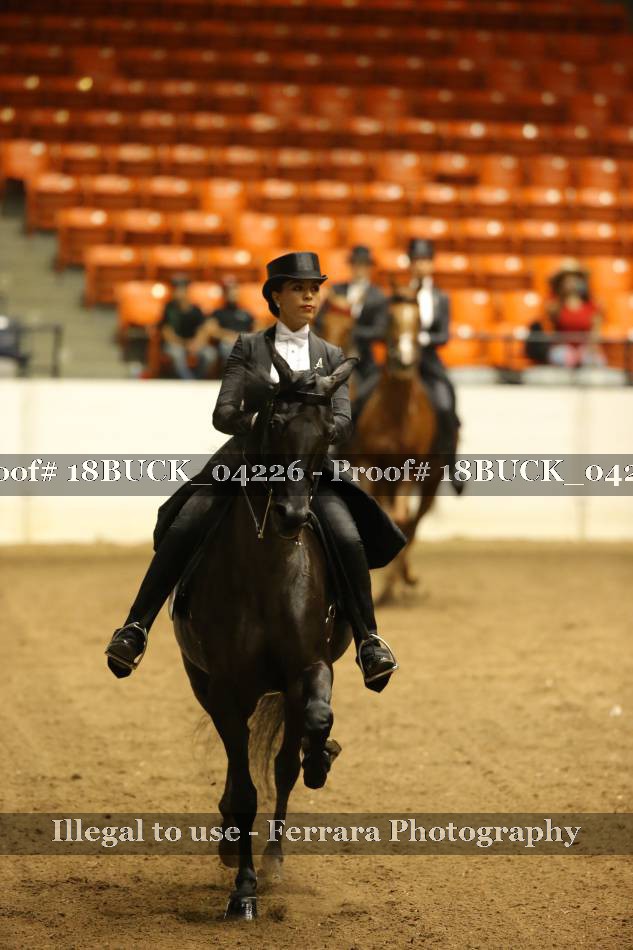 Proof 18BUCK_04226
